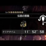 【PS4版MHWI】ミラボレアス ライトボウガン（徹甲榴弾） 11分52秒