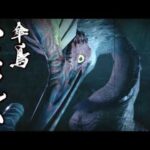 【MHR】モンスターハンターライズ　緊急クエスト☆2「アケノシルム」戦