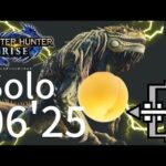 【モンハンライズ】ラスボス ナルハタタヒメ 弓ソロ 06’25 | Final Boss Thunder Serpent Narwa Solo 06’25 bow